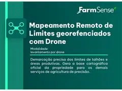 Mapeamento Remoto de Limites Georreferenciados com Drone - 1