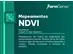 Mapeamentos NDVI - 1