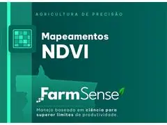 Mapeamentos NDVI - 2