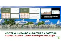 Mentoria Lucrando Alto Fora da Porteira - 0