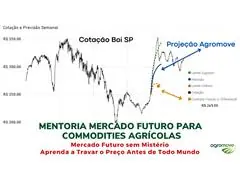 Mentoria Mercado Futuro para Commodities