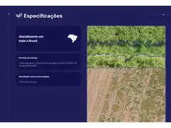 Identificação de plantas daninhas