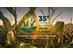 35º Congresso Nacional de Milho e Sorgo  - 0