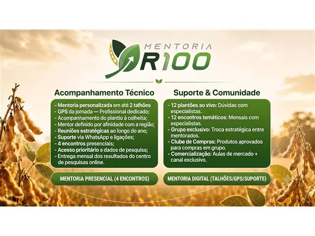 A Raiz da Solução