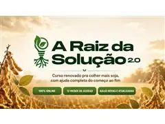 A Raiz da Solução - 1