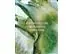 Eau de Parfum Ortie Blanche 50mL (Herbae) - 4