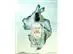 Eau de Parfum Ortie Blanche 50mL (Herbae) - 5