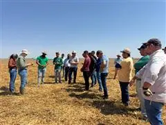 Consultoria em Tecnologia de Aplicação em Fazenda - 2
