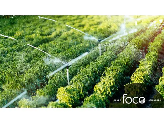 Consultoria de Irrigação - FOCO