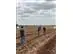 PESQUISAGRO TREINAMENTO E EXPERIMENTAÇÃO AGRONOMICA - 1