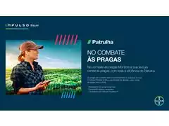 Patrulha - Safra 4.0 - 2