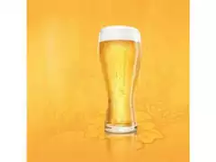 Jogo de Copos de Vidro para Cerveja Budweiser 4 Unidades de 400ML - 2