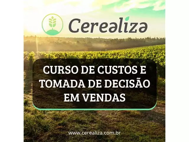 Curso de Custos e Tomada de Decisão - Cerealiza