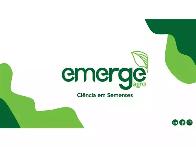 Consultoria em produção e tecnologia de sementes - EmergeAgro 