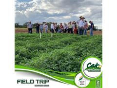 Implementação de Boas Práticas Agrícolas e Certificação RTRS - CAT Sor