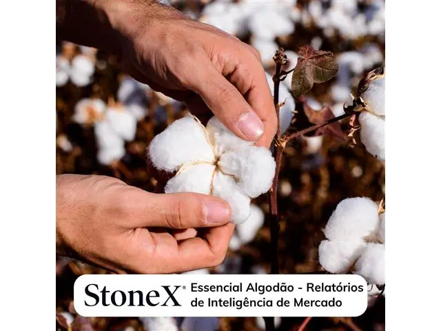 Relatórios para o Mercado de Algodão - StoneX