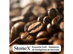 Relatórios para o Mercado de Café - StoneX