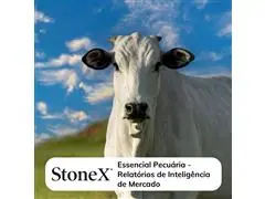 Relatórios para o Mercado de Pecuária - StoneX - 0