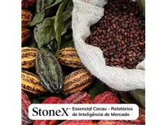 Relatórios para o Mercado de Cacau - StoneX - 0