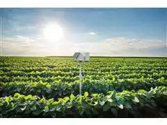 Manejo e Monitoramento de Irrigação com Estação de Campo - 2