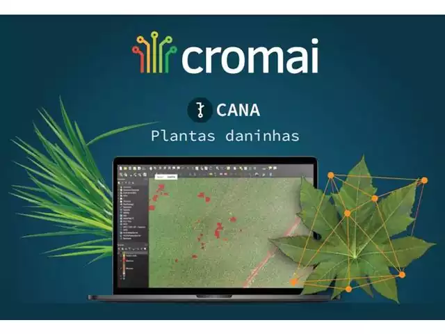Cromai Plantas Daninhas