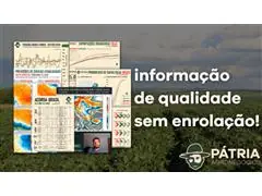 Gestão de Mercado: Grãos e Carnes - Pátria Agronegócios - 1