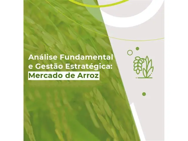 Curso Gestão Estratégica na Comercialização de Arroz SAFRAS & Mercado