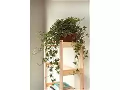 Estante Tramontina Modulare em Madeira Pinus com 2 Prateleiras - 2